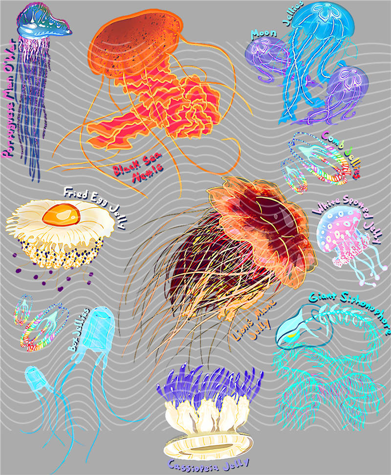 Fishing Series-DY 62